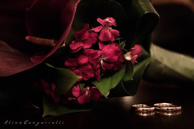 Aline Ganzarolli Fotografia