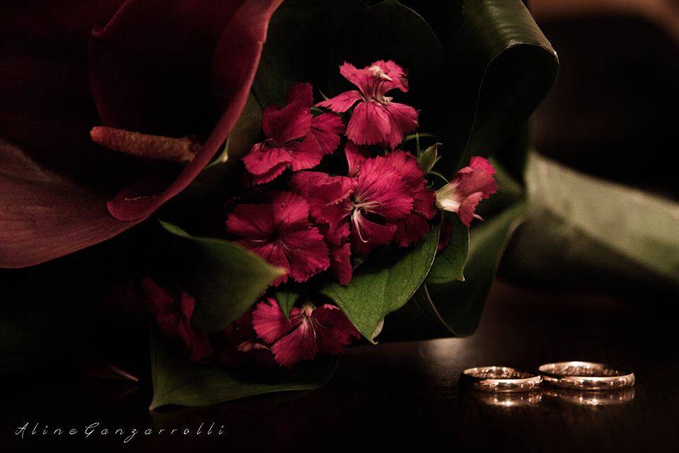Aline Ganzarolli Fotografia