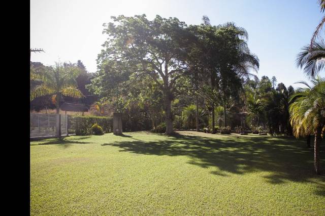 Sitio Ipê Amarelo