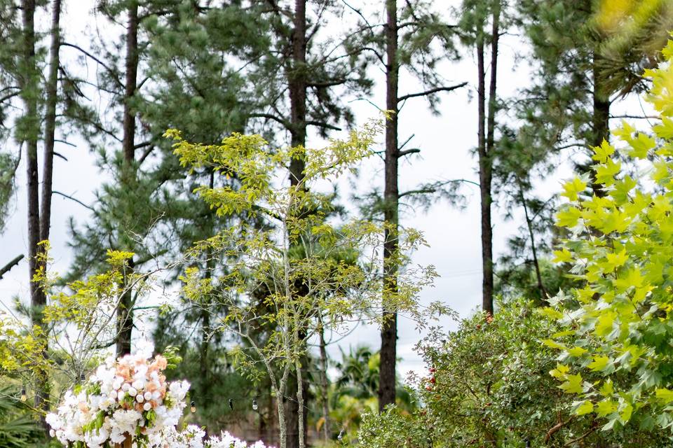 Decoração de casamento