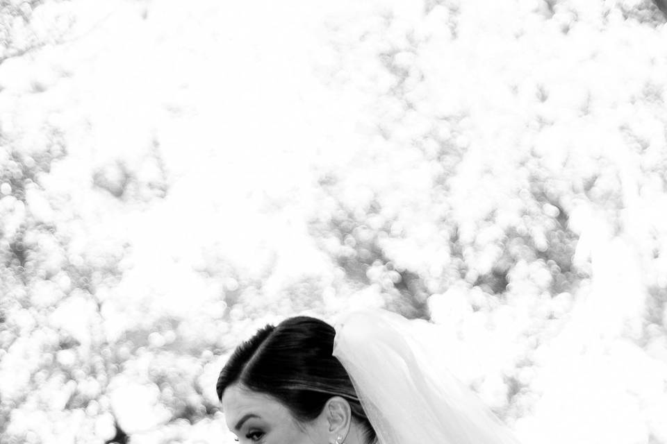 Casamento Gustavo & Paola