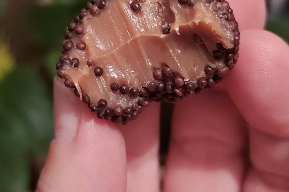 Brigadeiro de Ovomaltine