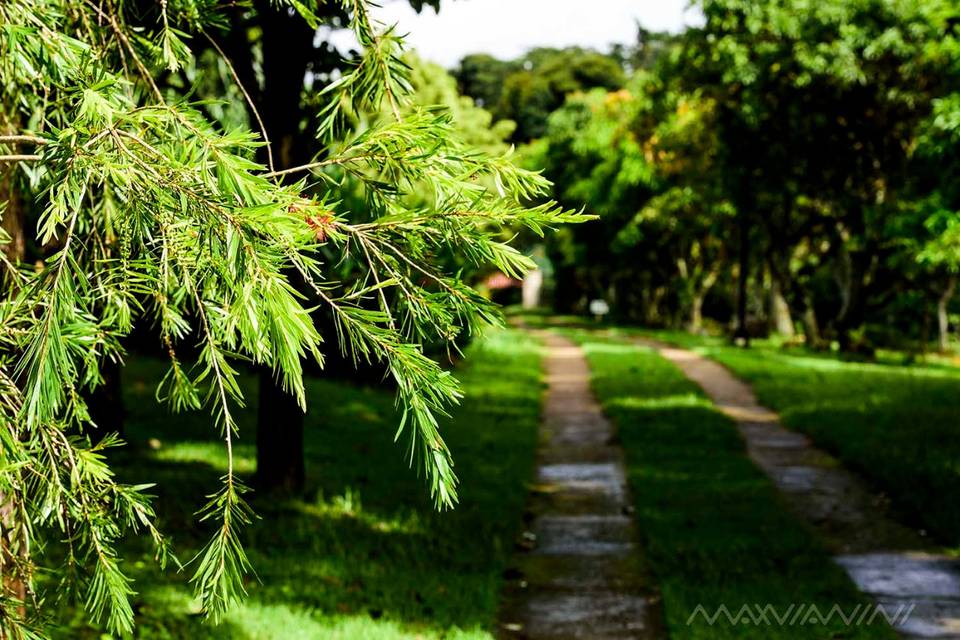 Sítio Ambiente Verde