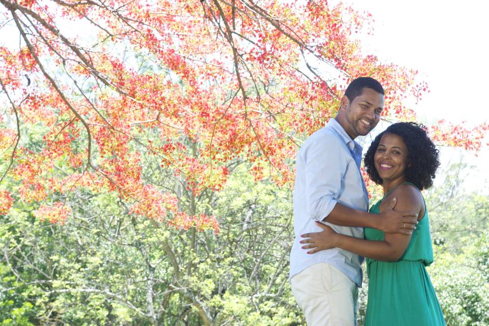 E-session