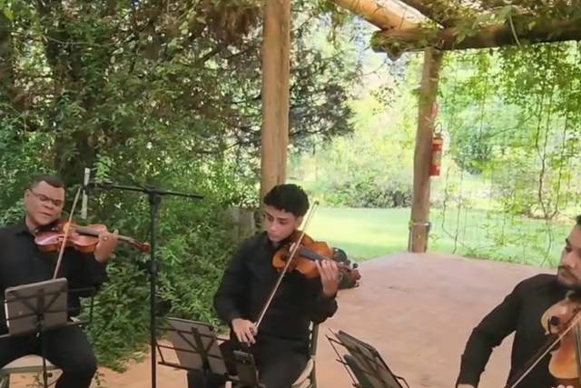 Quarteto de cordas clássico