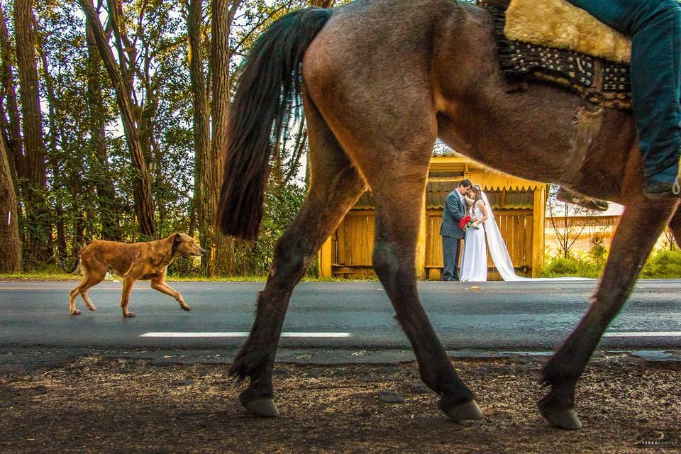 Pré Casamento Serra Gaúcha