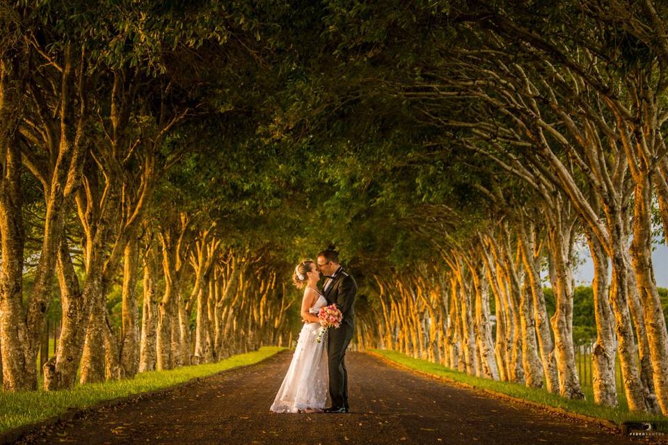 Casamento no Campo