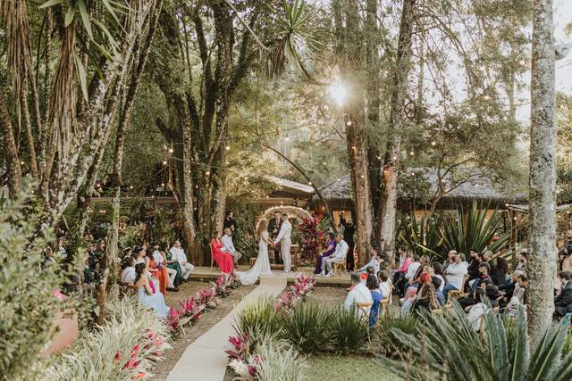 Bem te vi foto e filme