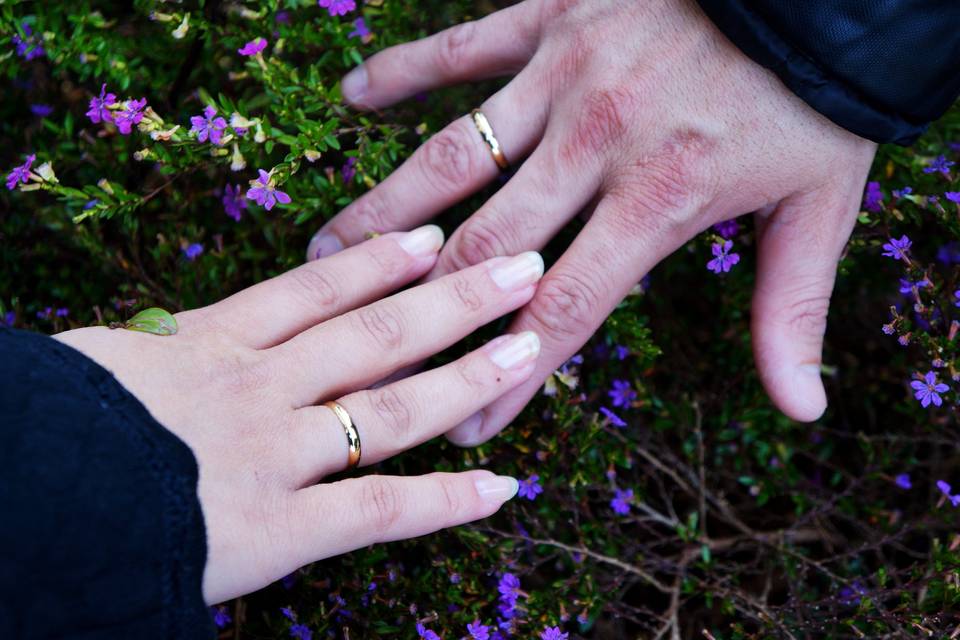 Josi Virginio Studio