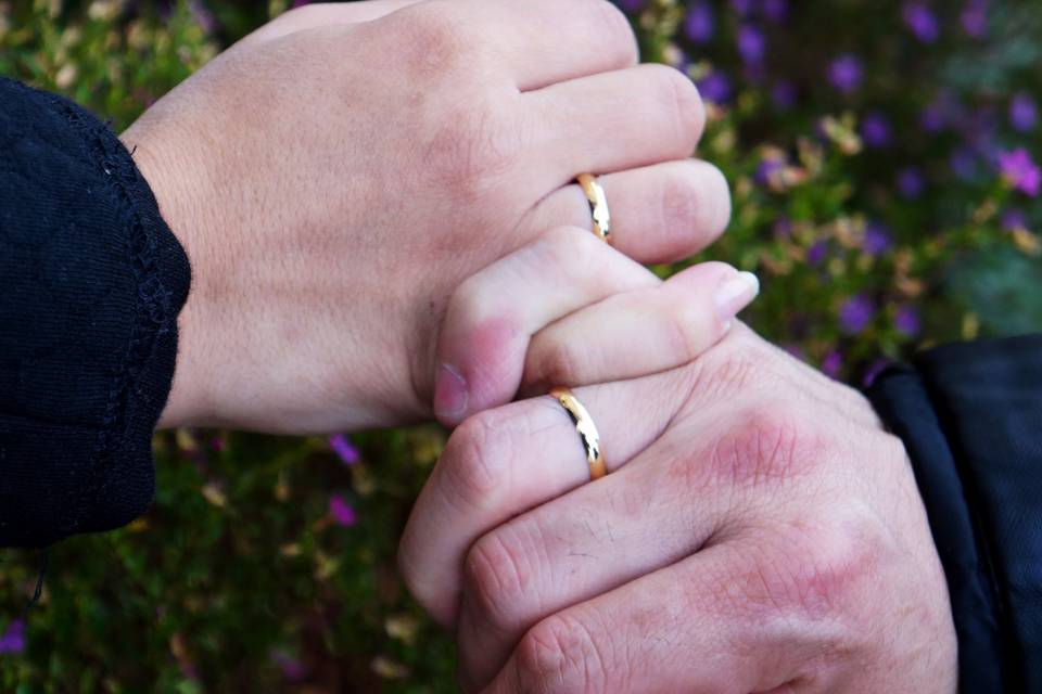 Josi Virginio Studio