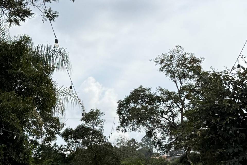 Cerimônia