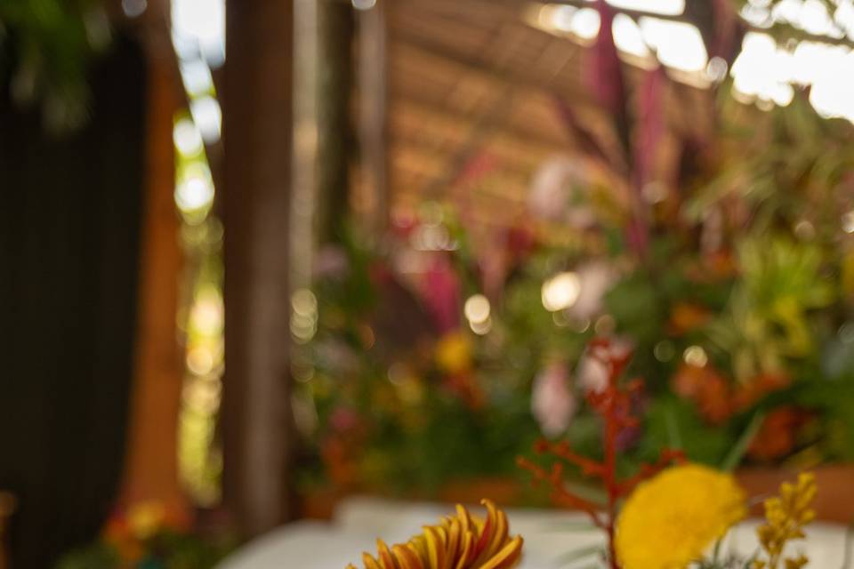 Decor Andrea Fleming