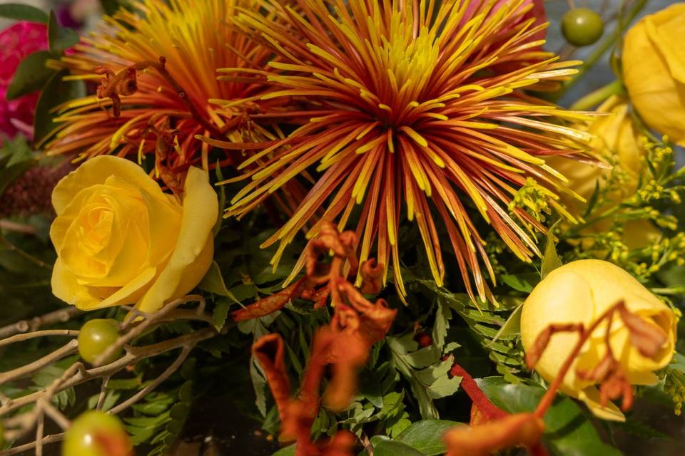 Decor Andrea Fleming
