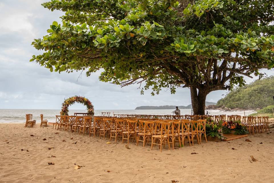 Andrea Fleming Decor