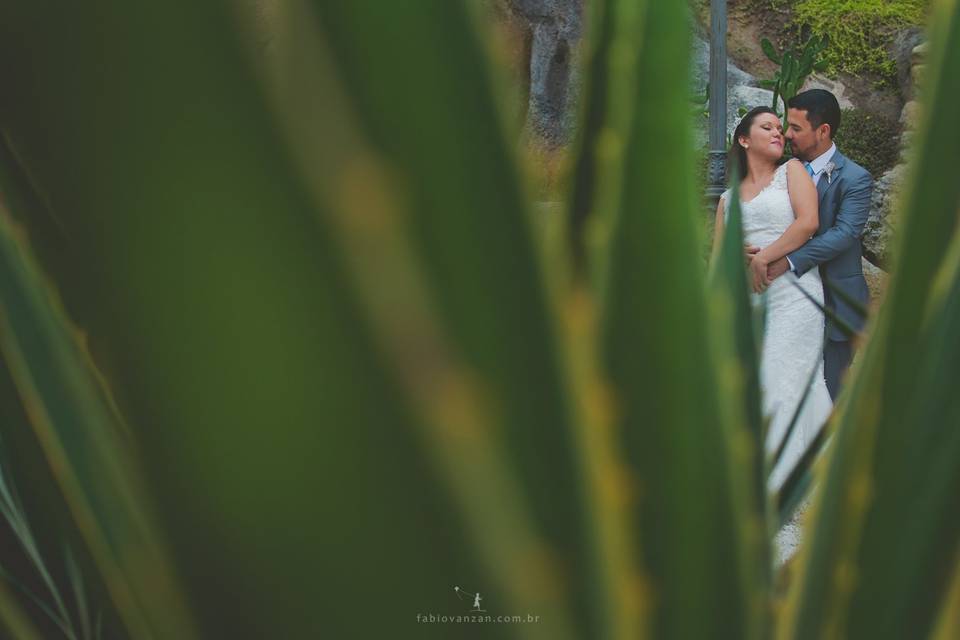 Fabio Vanzan, Fotografia