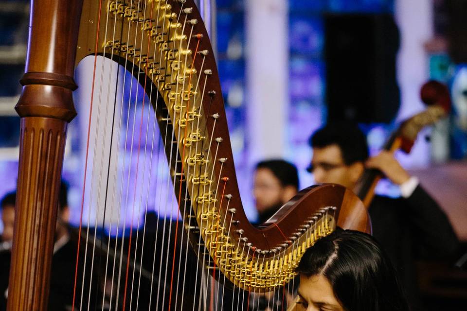 Harpa - Sonho Musical