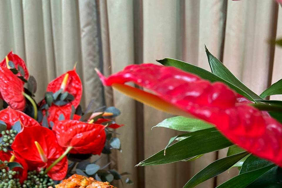 Buffet Fenix