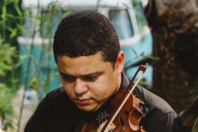Violino