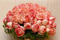 Bouquet de noiva