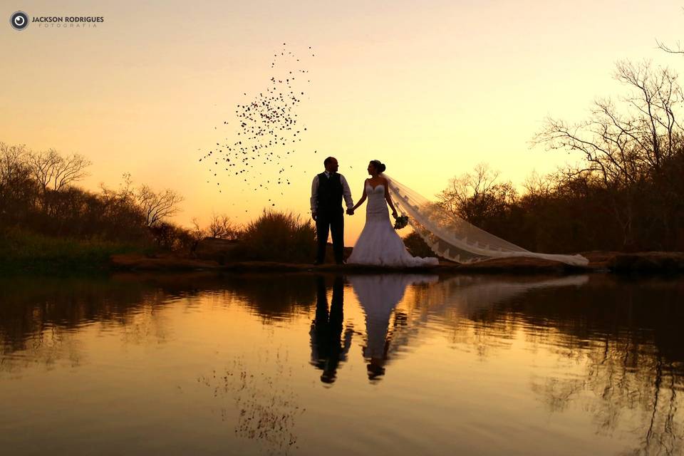 Trash The Dress