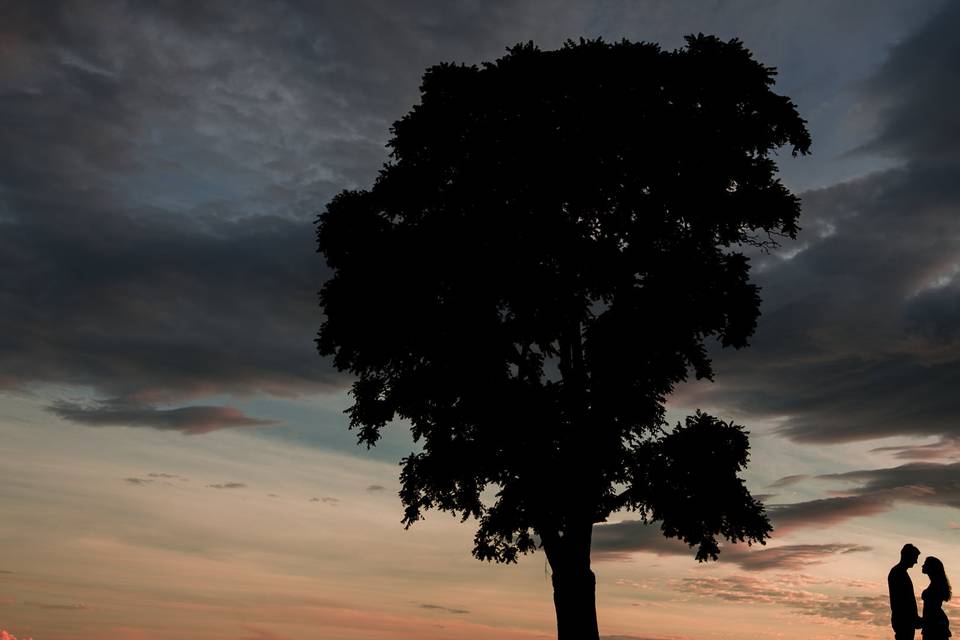 Reina Fotografia