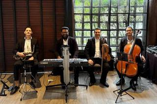 DM Eventos Musicais