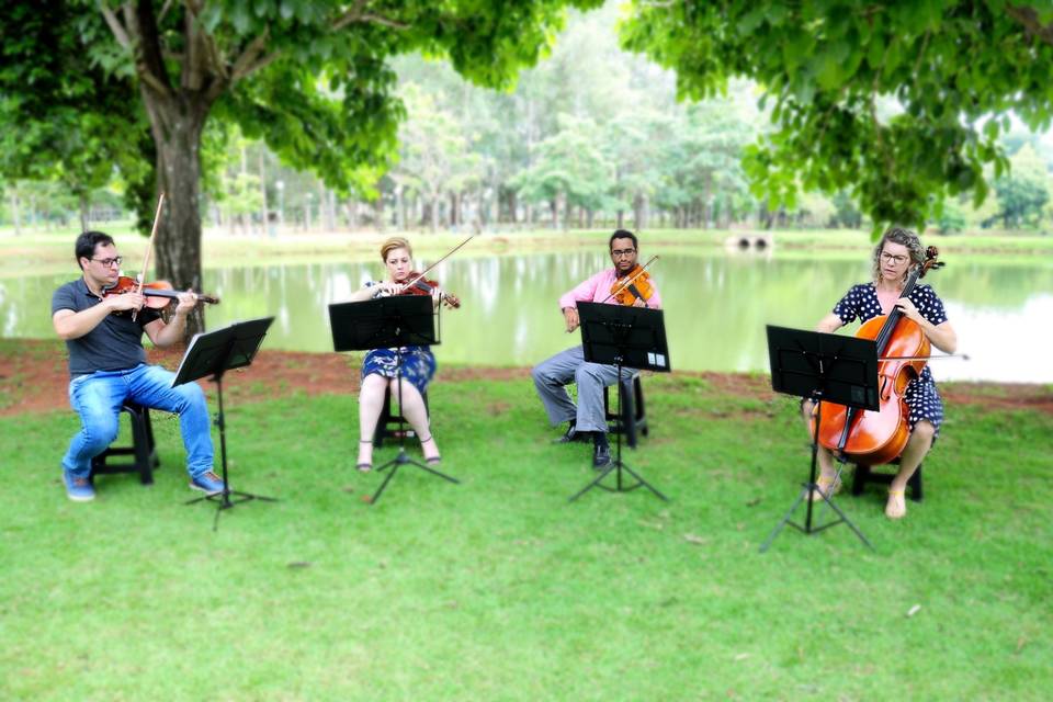 Apresentação no lago