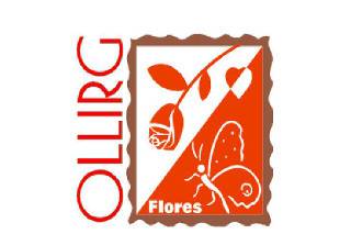 Ollirg Flores  Logo