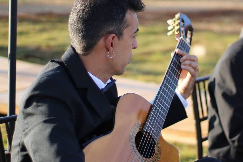 Amadeus - músicos para eventos
