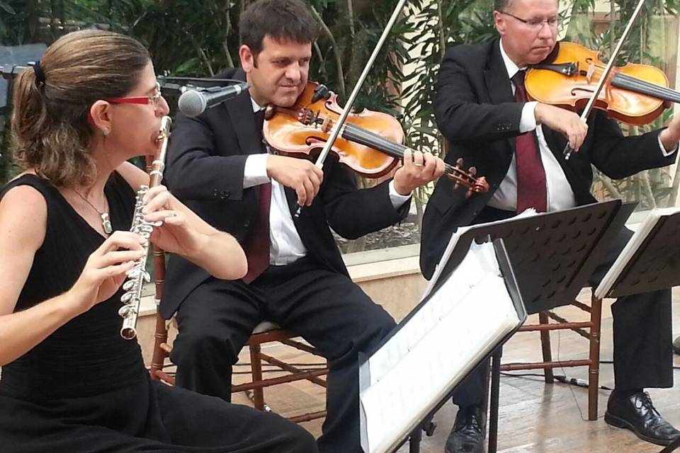 Camerata Eduardo Gomes