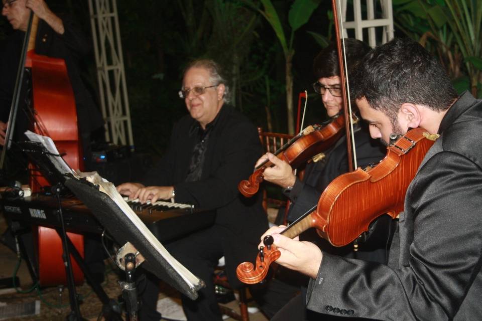 Maestro e violinos