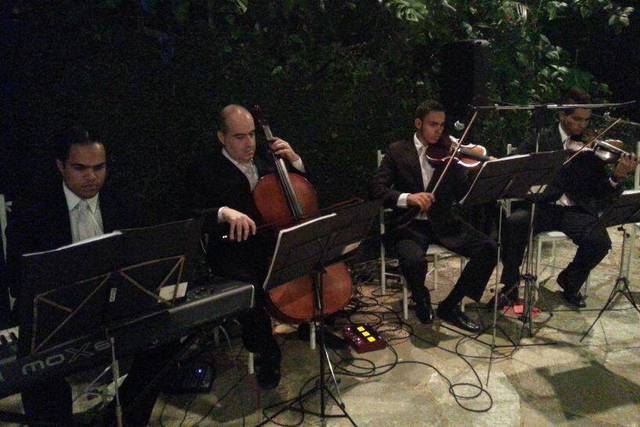 MF Eventos  Musicais