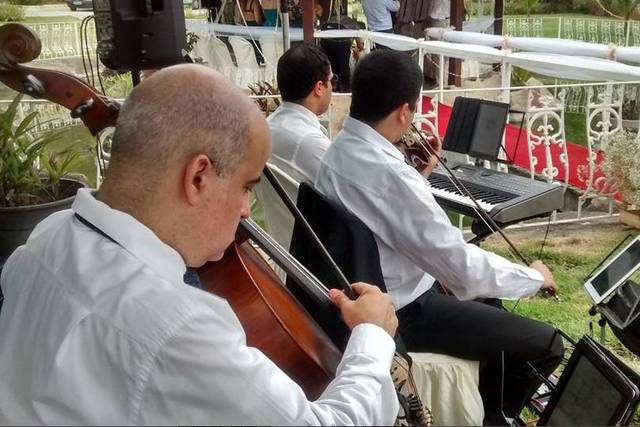 MF Eventos  Musicais