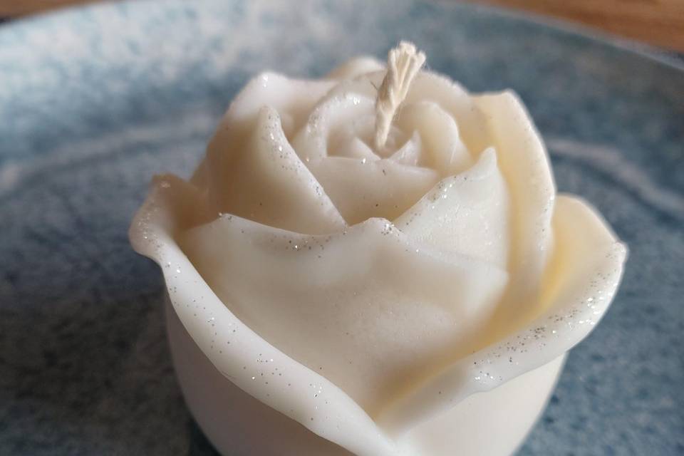 Rosa 15,00