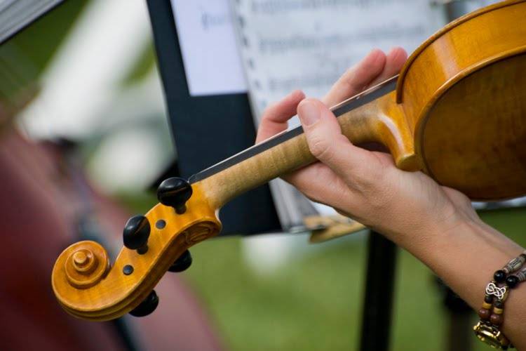 Braço do violino casamento