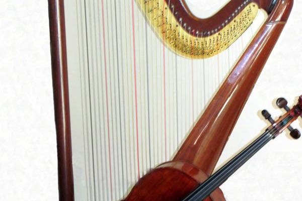 Violoncelo