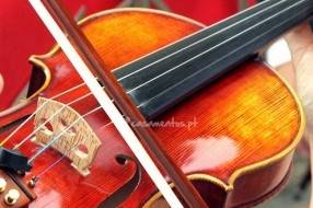 Violino