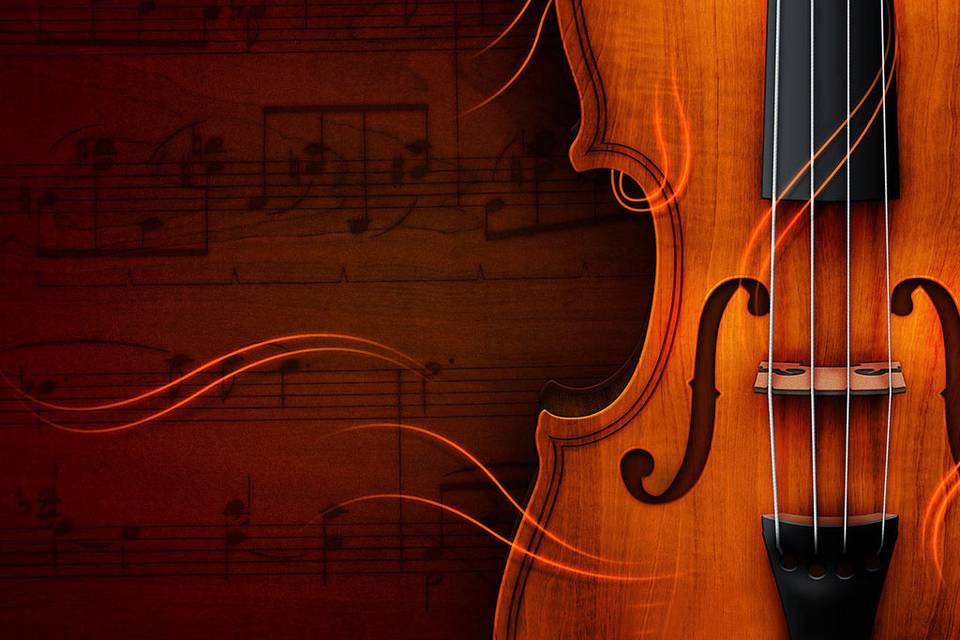 Violino