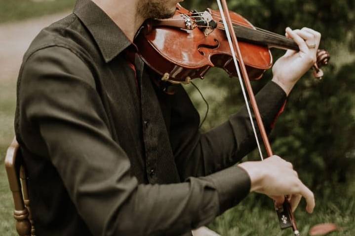 Violinista