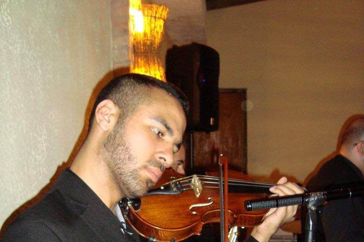 Violino