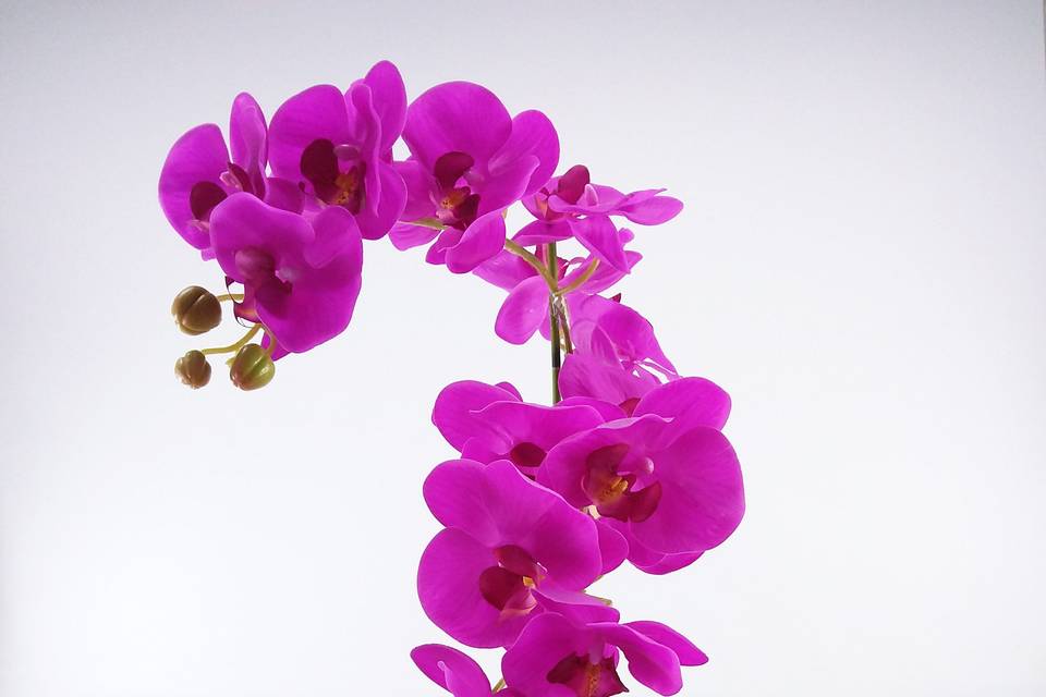 Arranjo Orquídea Siliconizada