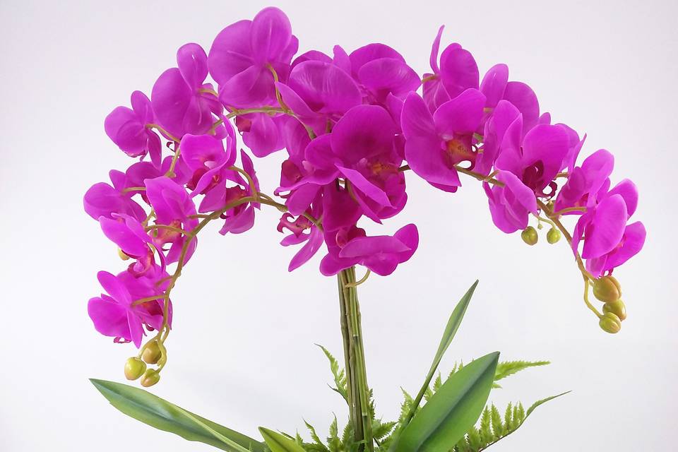 Arranjo Orquídea Siliconizada