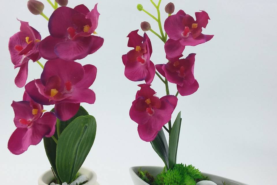 Mini arrando jardim de orquíde
