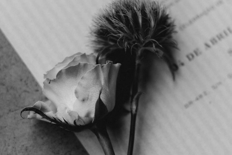 Detalhes