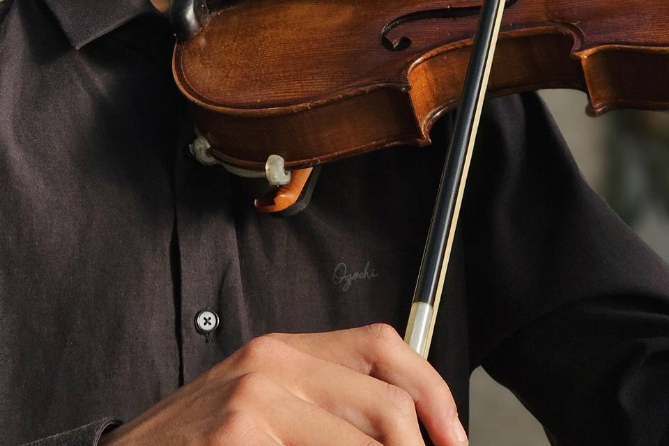 Violino