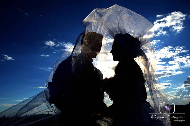 Trash the Dress
