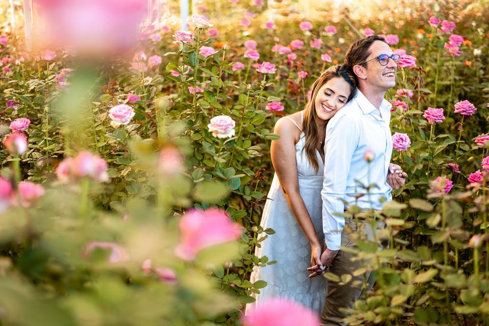 Pré casamento - holambra
