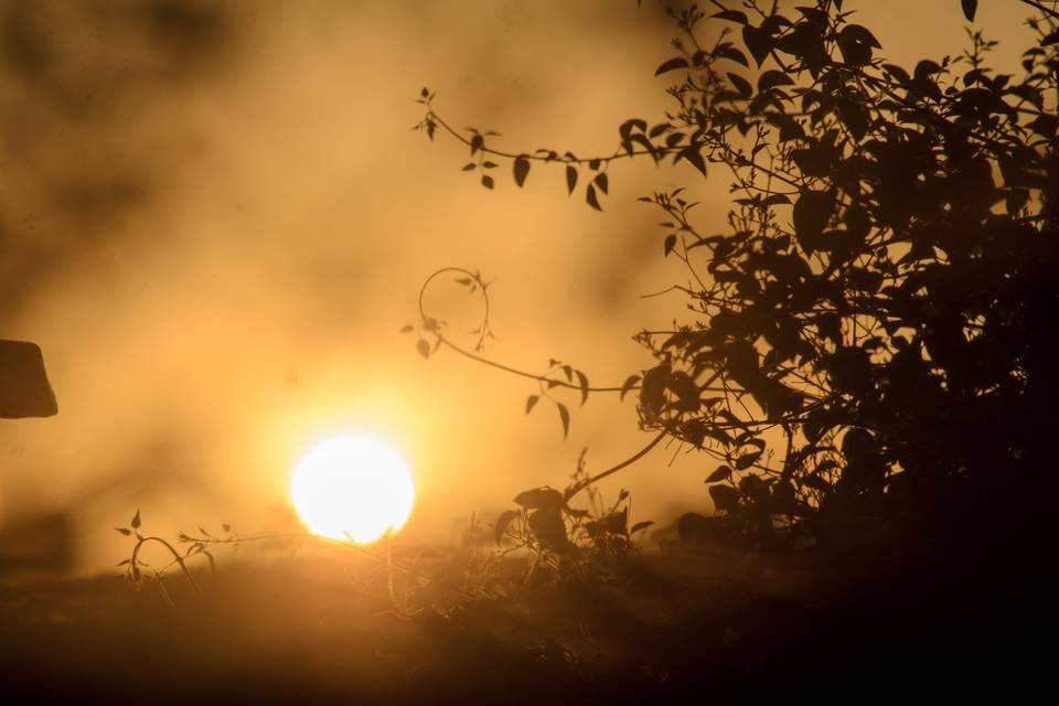 Vista  - Ambiente Multi