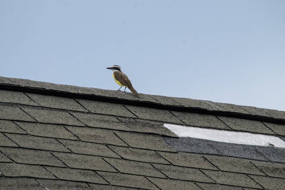 A Casa da Natureza