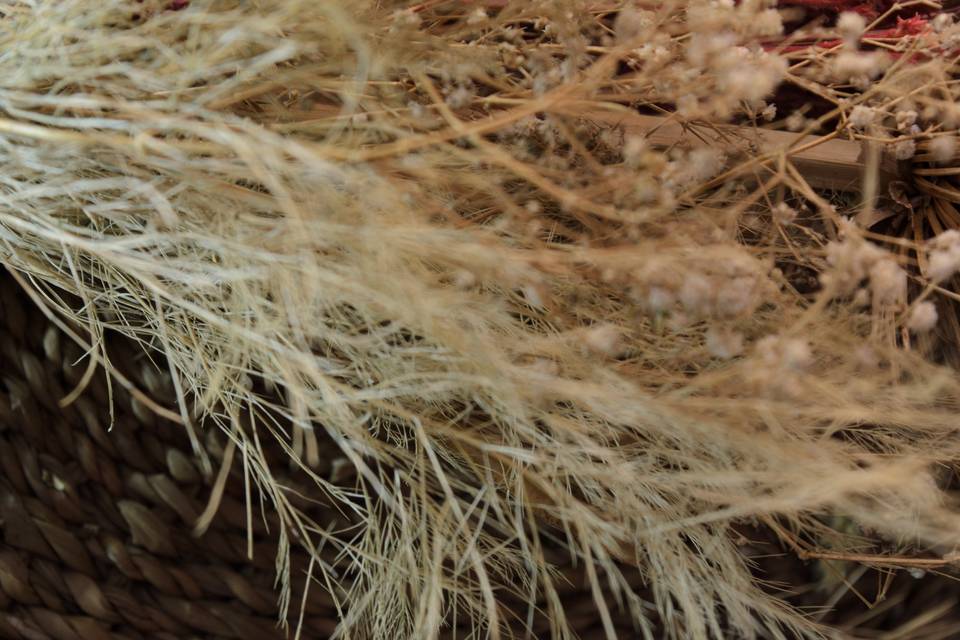 Ao Natural - Zaion